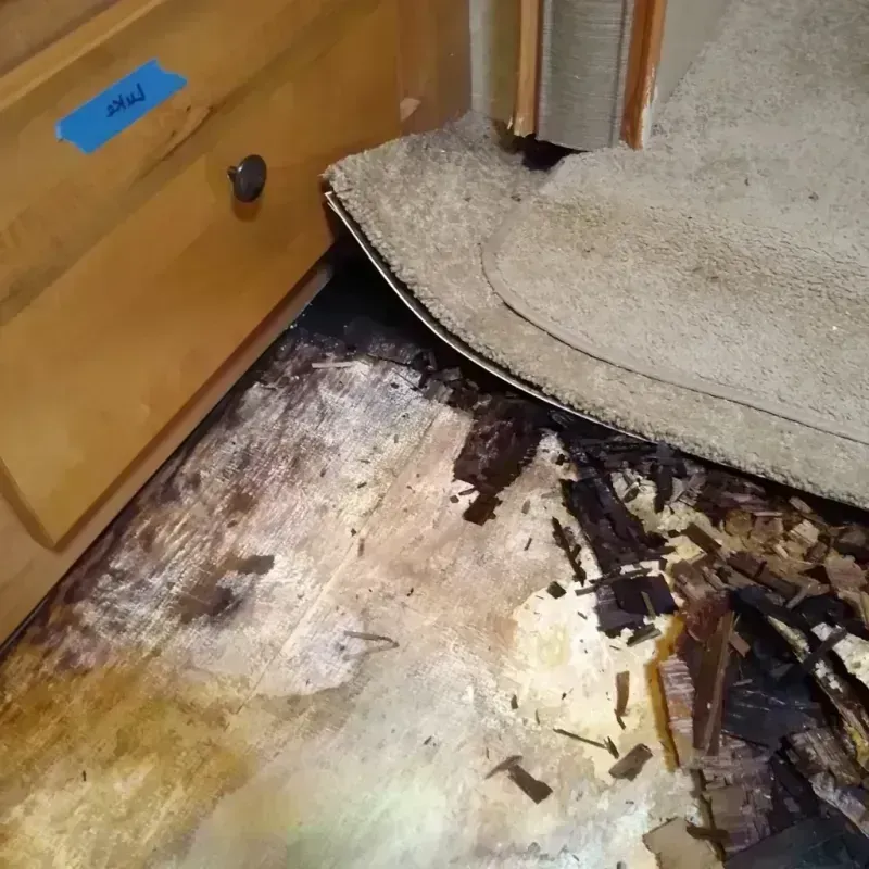 Wood Floor Water Damage in Palos Park, IL